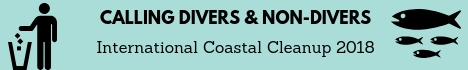 International Coastal Cleanup 15th September 2018